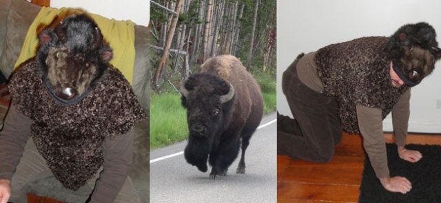 BisonCostume