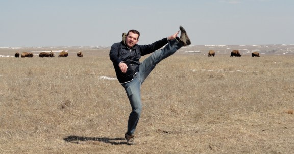 Bison herd, Tallgrass Prairie National Preserve, Strong City, KS - March 2013