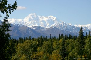 Denali National Park
