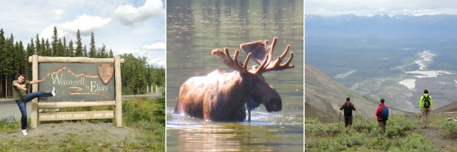 Wrangell-St. Elias entrance, Moose sighting in Chitina, Bonanza Mine hike.