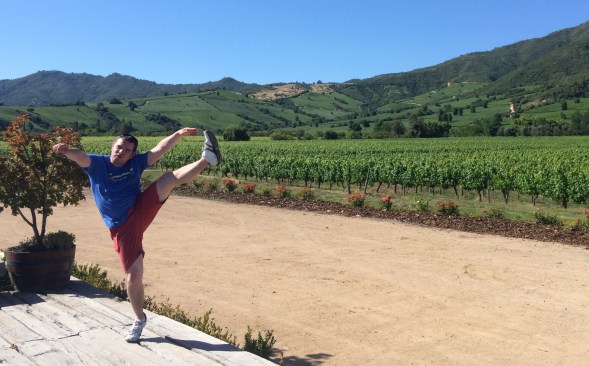 Montes Winery, Santa Cruz, Colchagua, Chile - December 2014