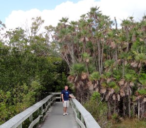 Entering Mahogany Hammock