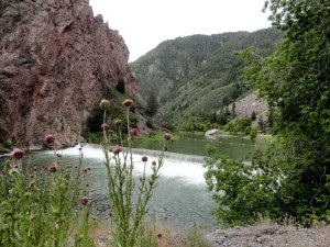 Gunnison Diversion Dam