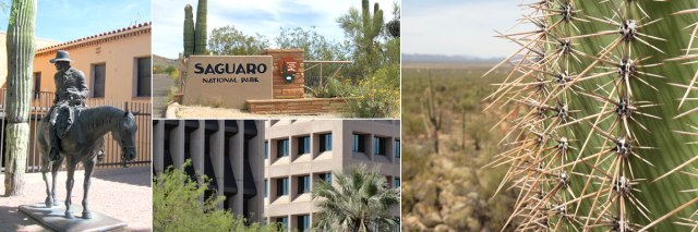 TucsonSaguaroHeader