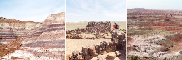 PetrifiedForestImages