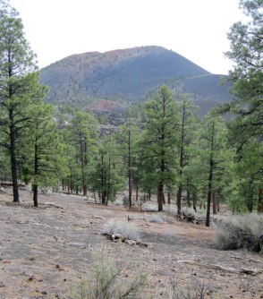 sunset-crater-volcano