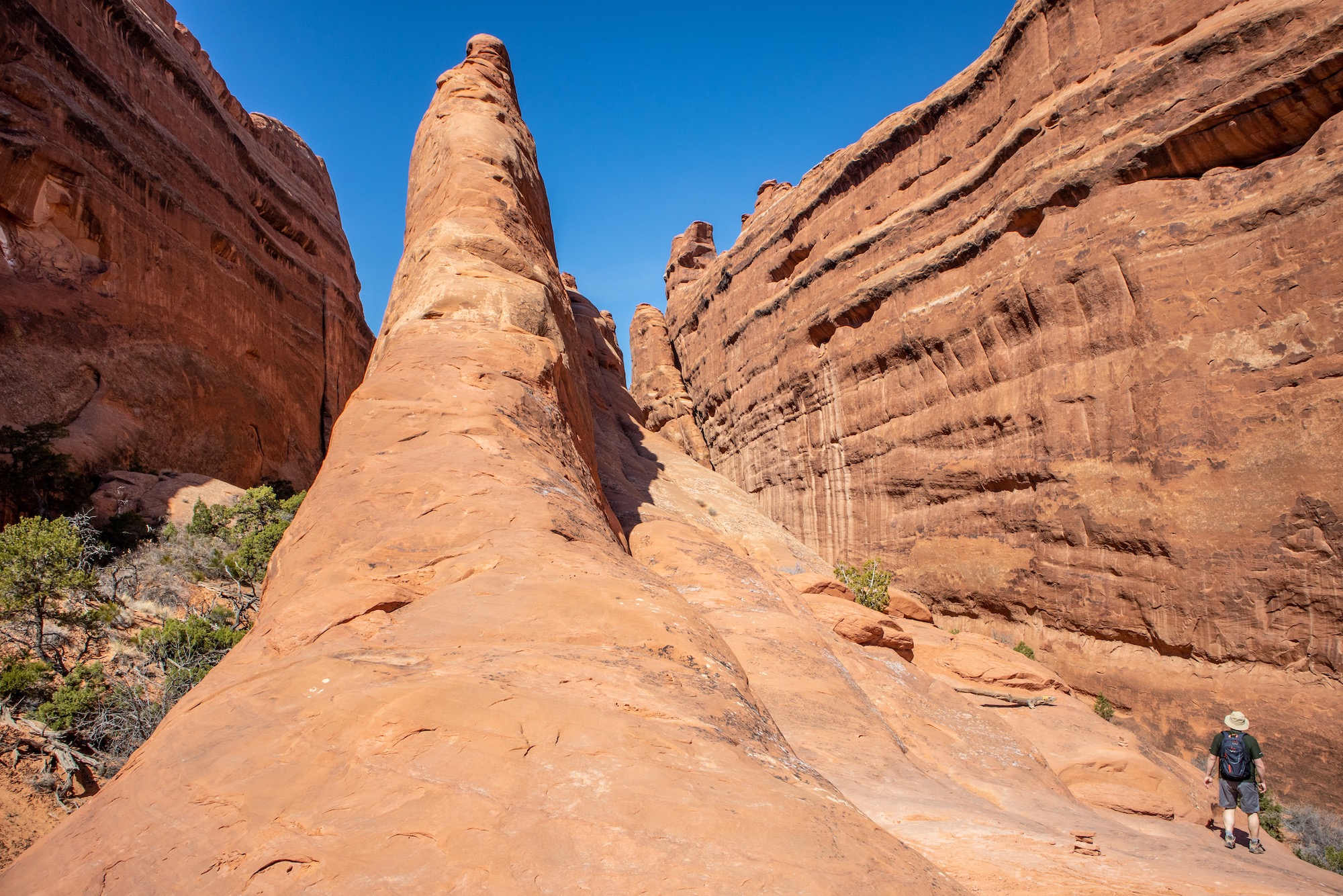 The "primitive loop" trail passes through giant sandstone fins on the way back to the parking area.