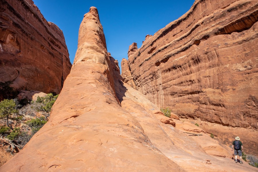 The "primitive loop" trail passes through giant sandstone fins on the way back to the parking area.
