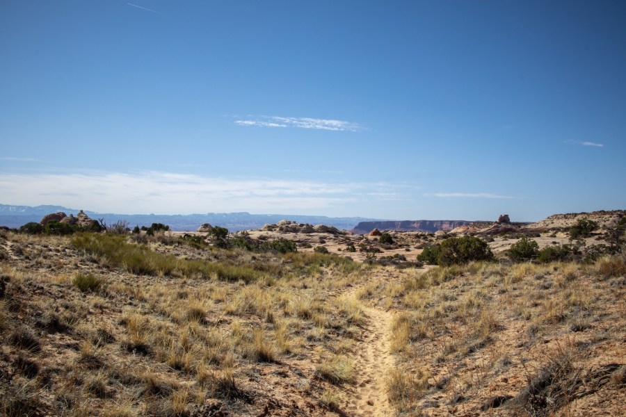 The first 1.5 miles of the Lathrop Trail are flat grasslands, but then you see the edge in the distance...