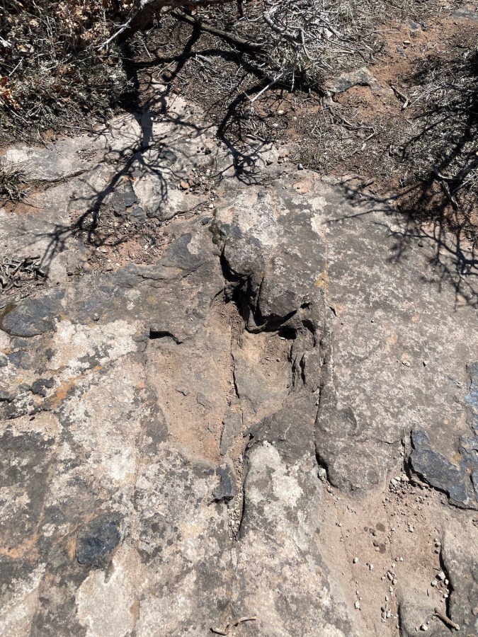 Dinosaur Tracks at the Bull Canyon Overlook in the La Sal Mountains.
