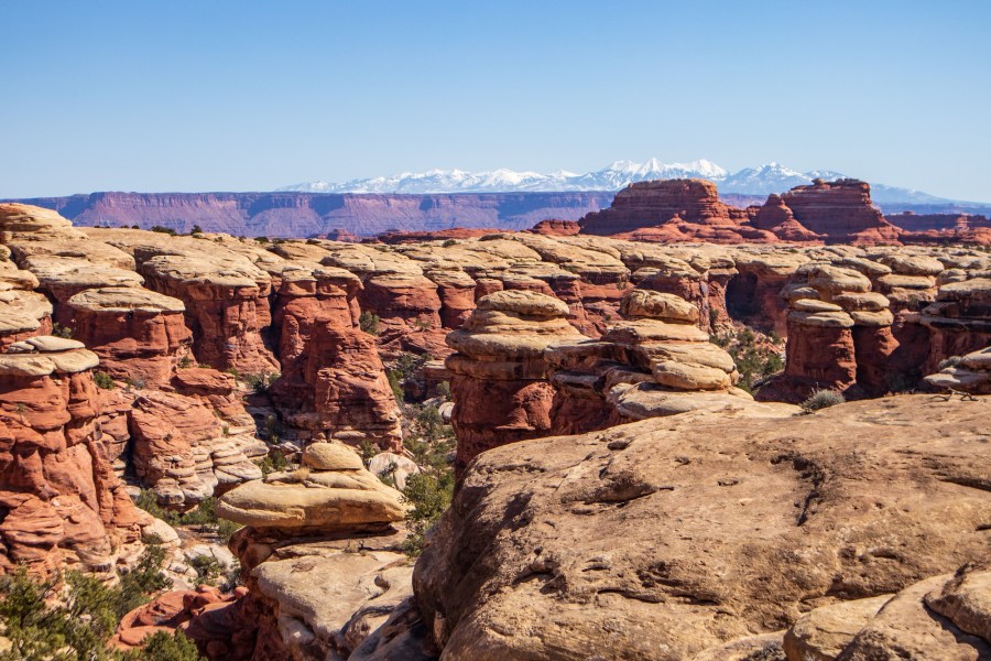 The Needles District of Canyonlands. We did a 15 mile hike to Chesler Park and Druid Arch.