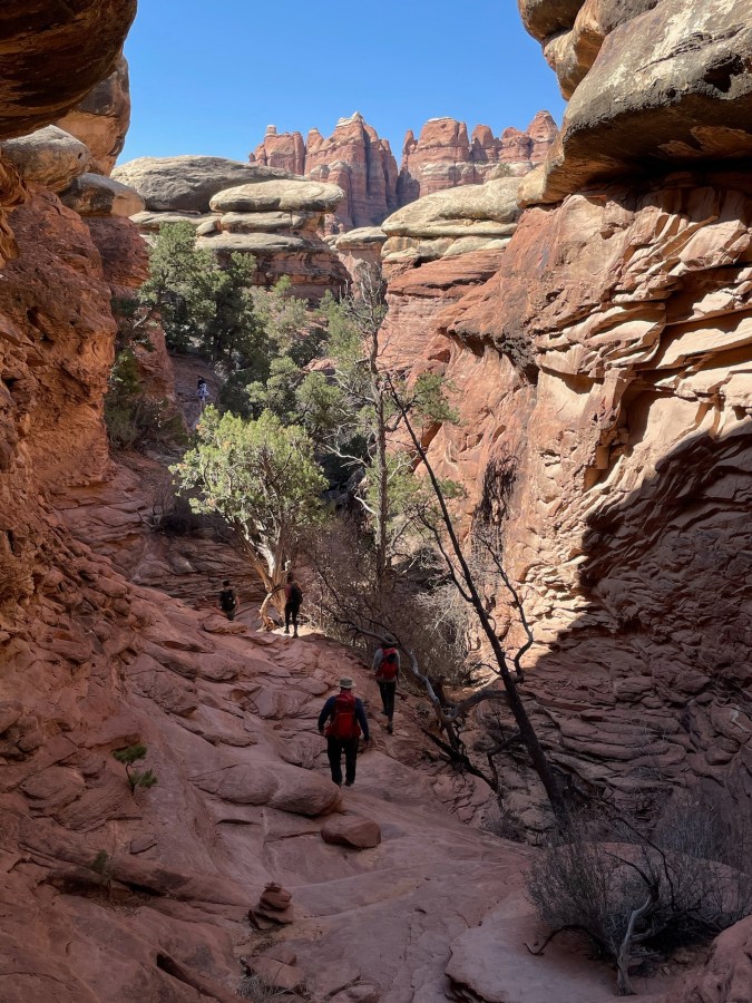 On the way to Chesler Park near Elephant Hill.