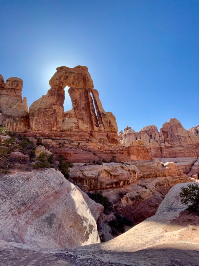 Druid Arch. The arch itself is 150 feet tall and the peak is 400 feet above the canyon floor.
