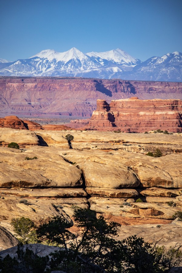 Layers and layers of rock from the Needles district.